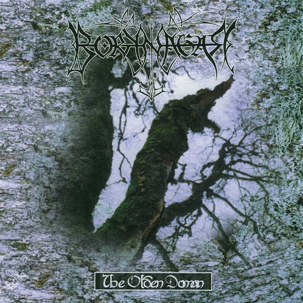 |  Vinyl LP | Borknagar - Olden Domain (LP) | Records on Vinyl