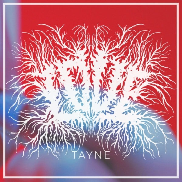 |  Vinyl LP | Tayne - Love (LP) | Records on Vinyl