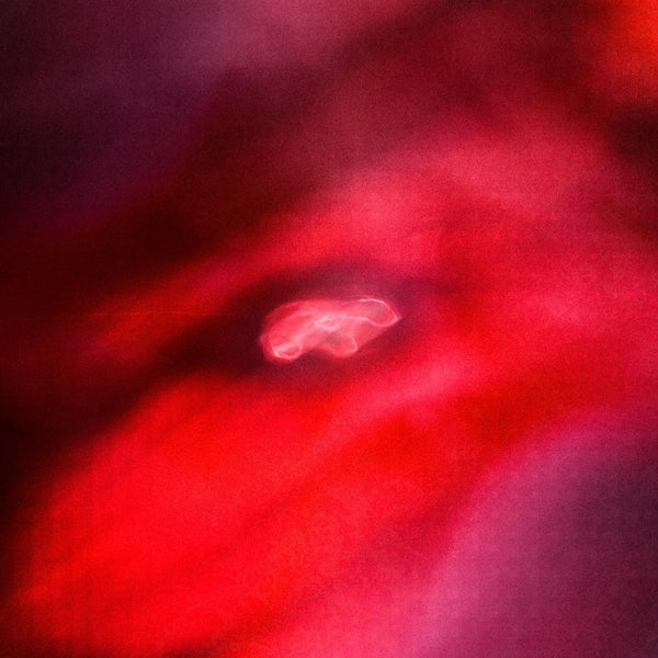 |  Vinyl LP | Siavash & Saffronkeira Amini - Faded Orbit (LP) | Records on Vinyl