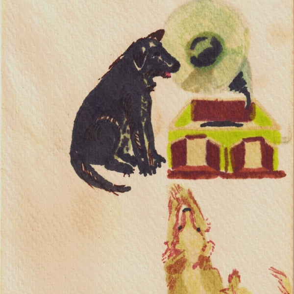 |  Vinyl LP | Dwaal Troupe - Lucky Dog (LP) | Records on Vinyl