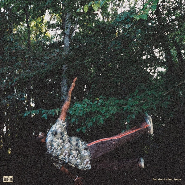 |  Vinyl LP | Chester Watson - Fish Don't Climb Trees (LP) | Records on Vinyl