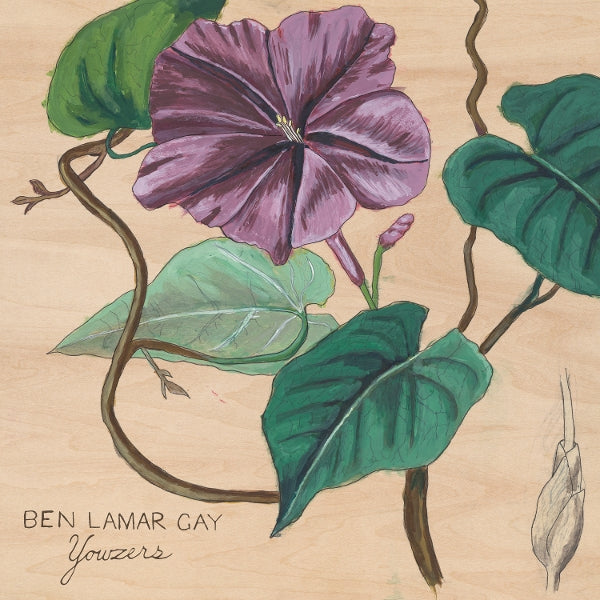 |  Vinyl LP | Ben Lamar Gay - Yowzers (LP) | Records on Vinyl
