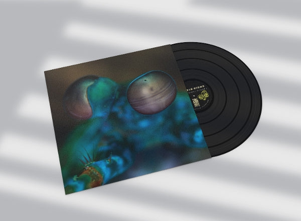 |  Vinyl LP | Melvin Gibbs - Amasia: Anamibia Sessions 2 (LP) | Records on Vinyl