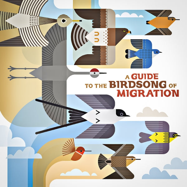 |  Vinyl LP | V/A - A Guide To the Birdsong of Migration (LP) | Records on Vinyl