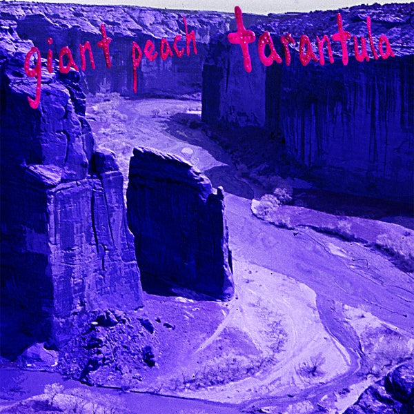 |  Vinyl LP | Giant Peach - Tarantula (LP) | Records on Vinyl