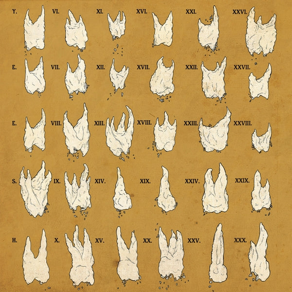 |   | Yeesh - Confirmation Bias (LP) | Records on Vinyl