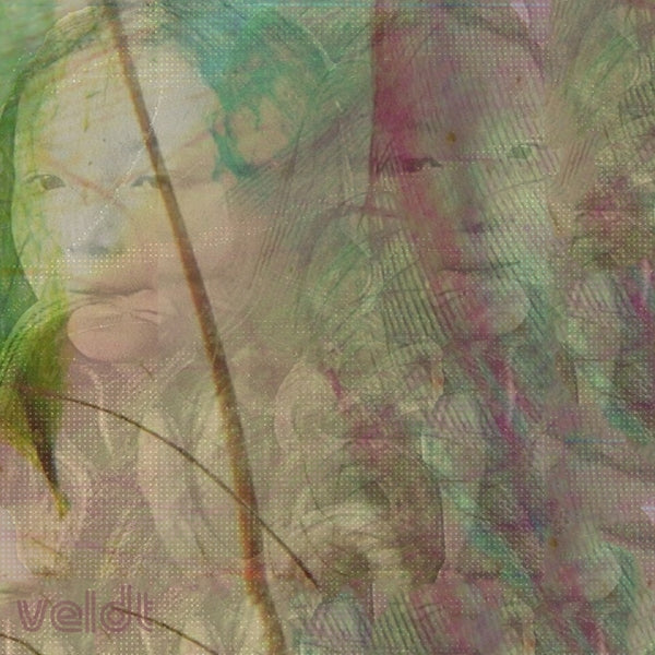 |  7" Single | Veldt - Symmetry (Single) | Records on Vinyl