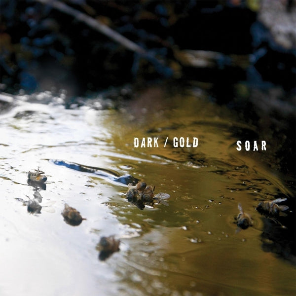 |   | Soar - Dark / Gold (LP) | Records on Vinyl