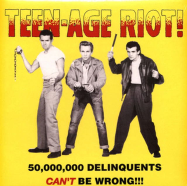 |   | Various Artist - Teen-Age Riot! - 50.000.000 Delinquents Can't Be Wrong!!! (LP) | Records on Vinyl