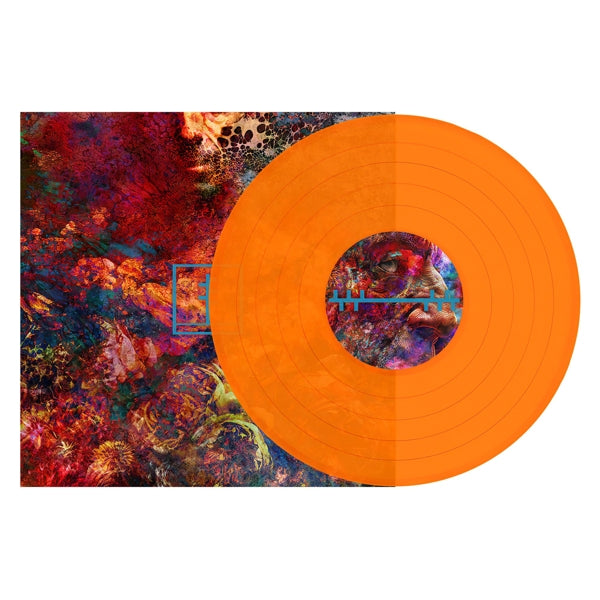 |  Vinyl LP | Frail Body - Artificial Bouquet (LP) | Records on Vinyl