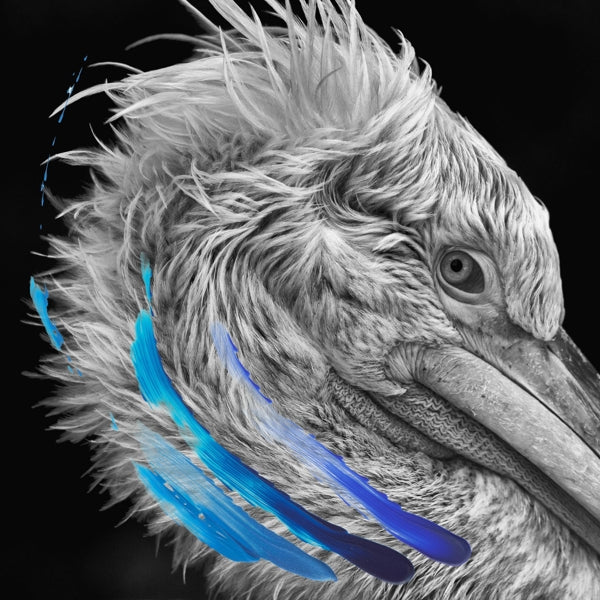 |  Vinyl LP | Lies - Lies (2 LPs) | Records on Vinyl