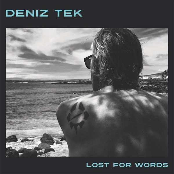 |  Vinyl LP | Deniz Tek - Lost For Words (LP) | Records on Vinyl