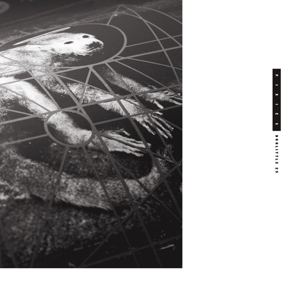 |  Vinyl LP | Pixies - Doolittle 25 (2 LPs) | Records on Vinyl