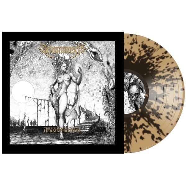 |  Vinyl LP | Schammasch - Maldoror Chants: Hermaphrodite (LP) | Records on Vinyl