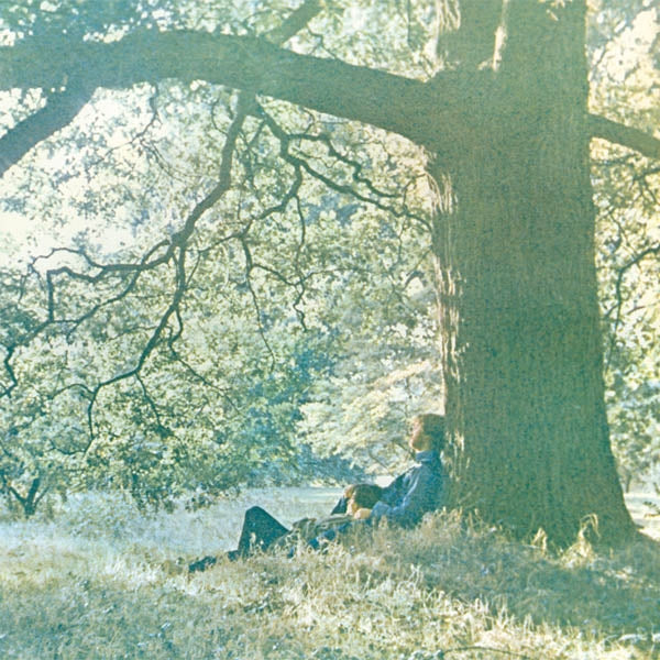 |  Vinyl LP | Yoko Ono - Plastic Ono Band (LP) | Records on Vinyl