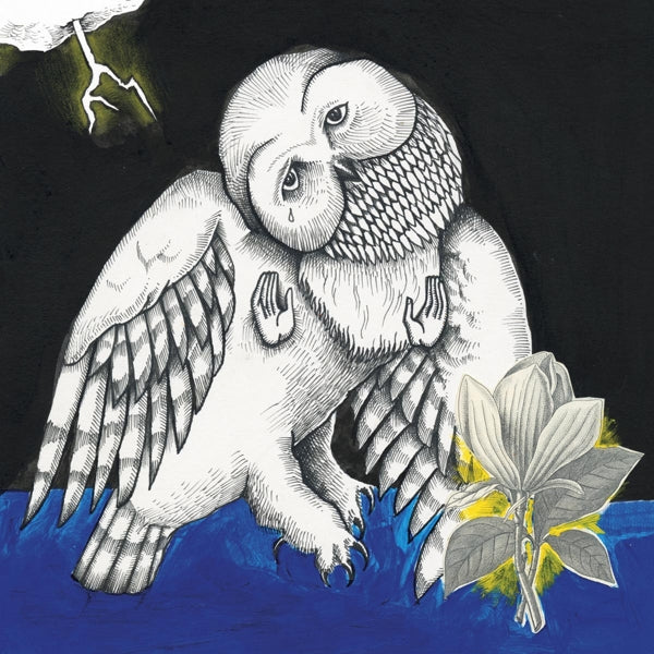 |  Vinyl LP | Songs: Ohia - Magnolia Electric Co (2 LPs) | Records on Vinyl