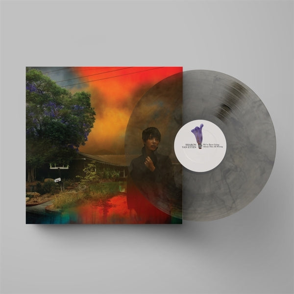 |  Vinyl LP | Sharon Van Etten - We've Been Going About This All Wrong (LP) | Records on Vinyl