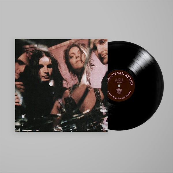 |   | Sharon Van Etten - Sharon Van Etten & the Attachment Theory (LP) | Records on Vinyl