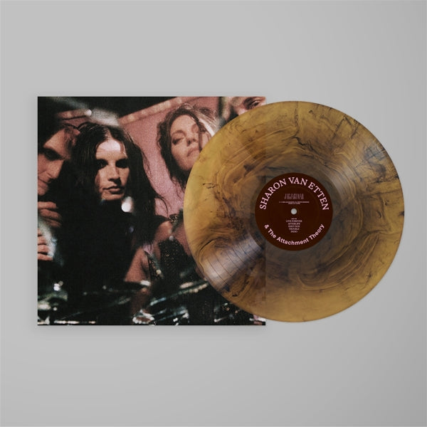 |   | Sharon Van Etten - Sharon Van Etten & the Attachment Theory (LP) | Records on Vinyl