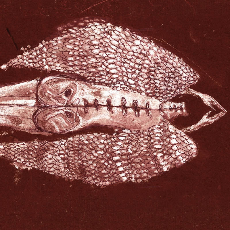 |  Vinyl LP | Cerberus Shoal - Homb (2 LPs) | Records on Vinyl