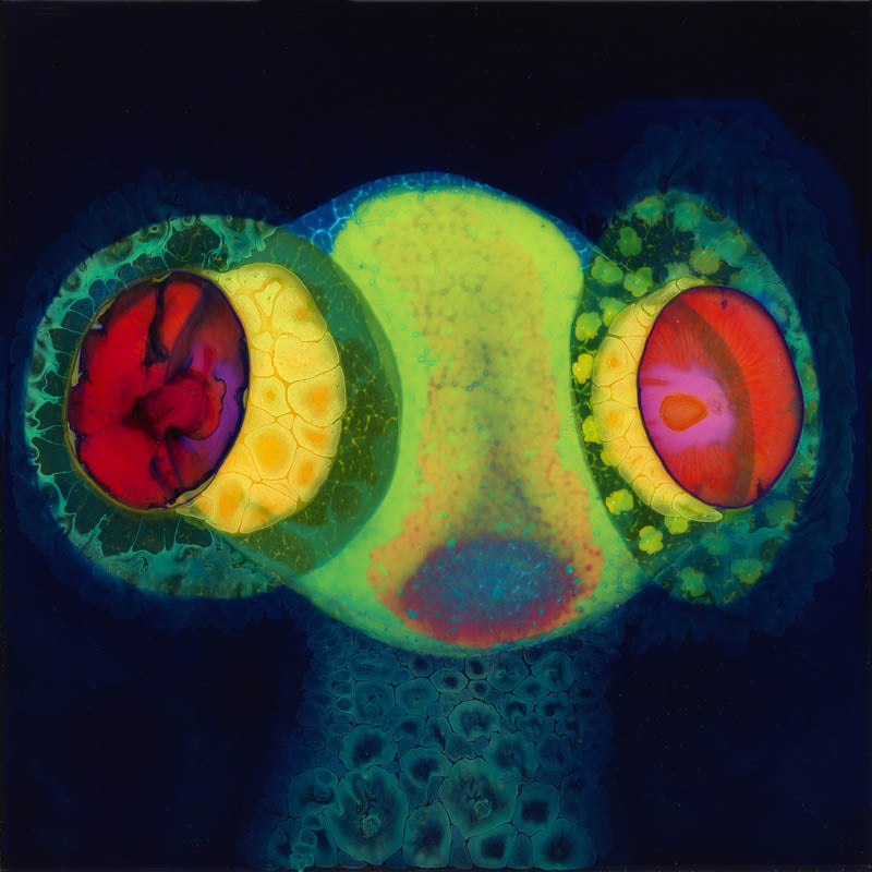 |  Vinyl LP | Osees - Sorcs 80 (LP) | Records on Vinyl