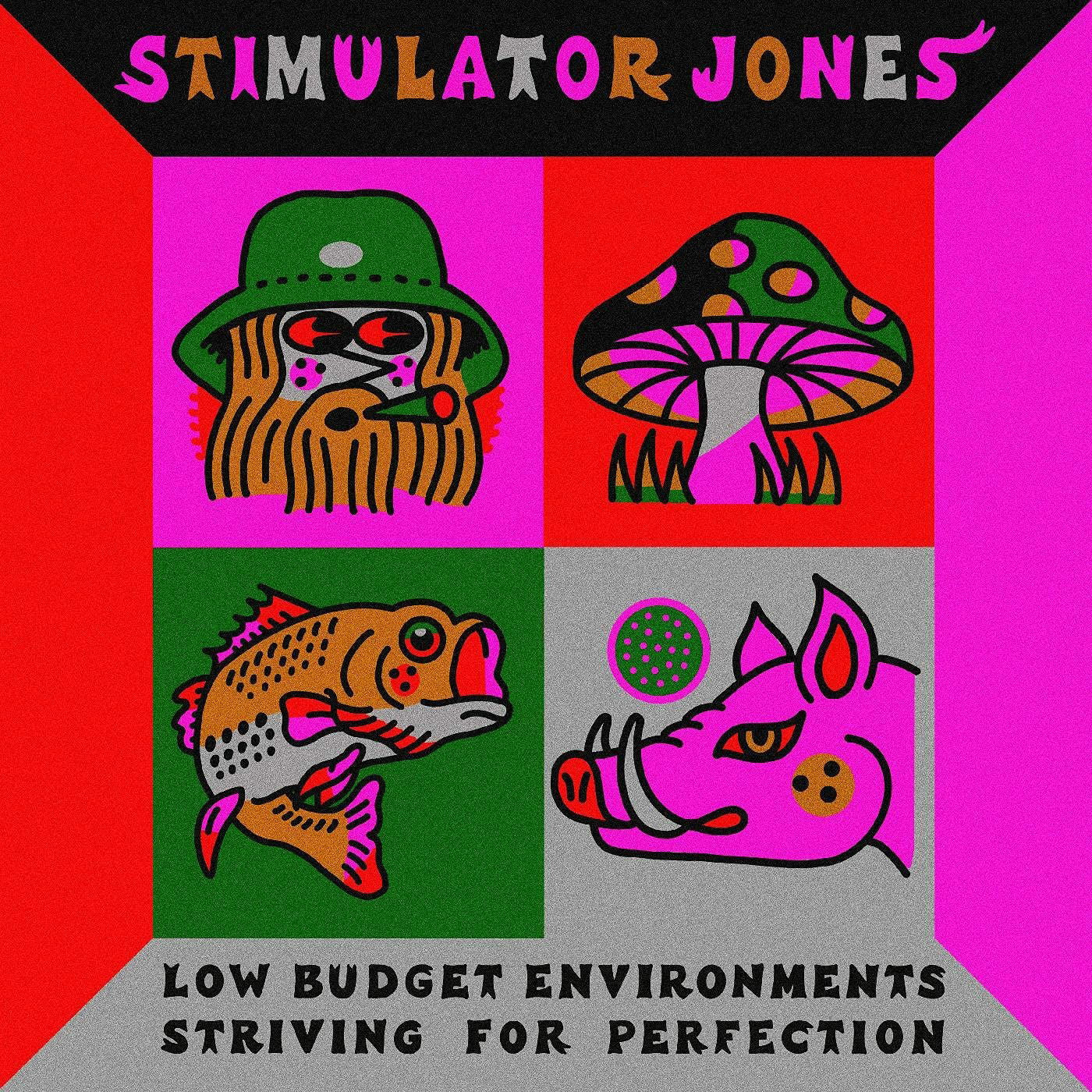 |  12" Single | Stimulator Jones - Low Budget Environments Striving For Perfection (Single) | Records on Vinyl