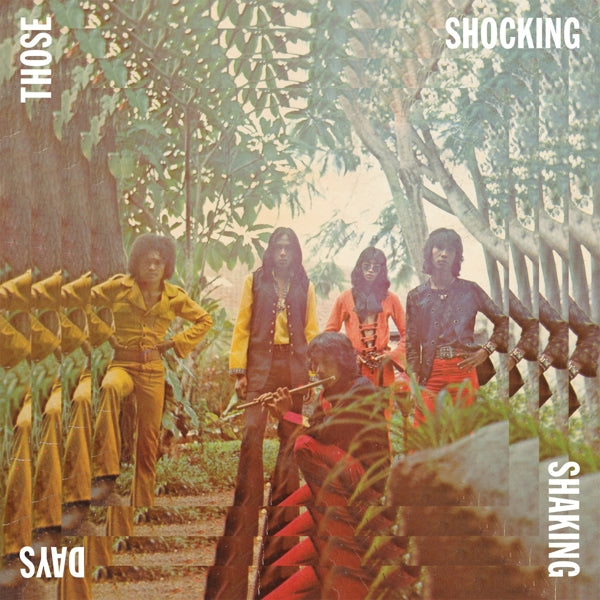 |  Vinyl LP | Various - Those Shocking Shaking Days (3 LPs) | Records on Vinyl