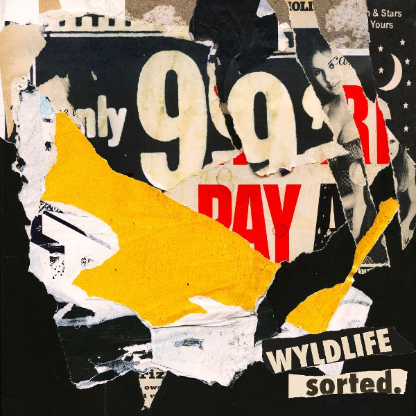 |   | Wyldlife - Sorted. (LP) | Records on Vinyl
