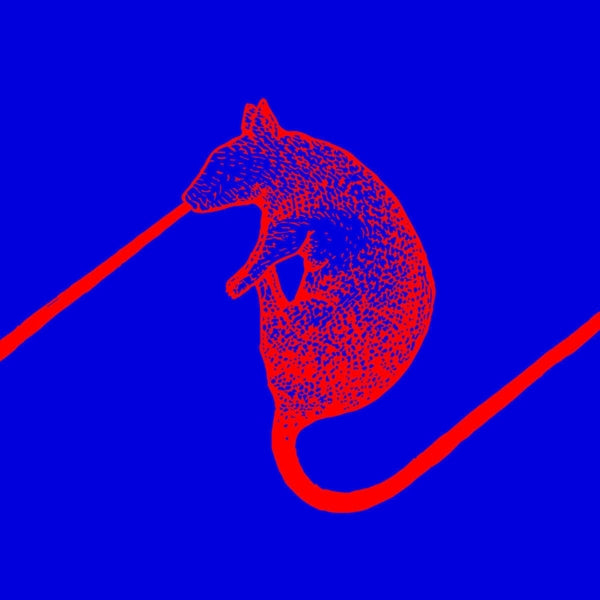 |   | Dwarfs of East Agouza - Rats Don't Eat Synthesizers (LP) | Records on Vinyl