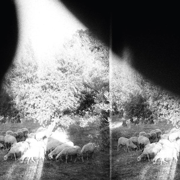 |  Vinyl LP | Godspeed You! Black Emperor - Asunder, Sweet & Other Distress (LP) | Records on Vinyl