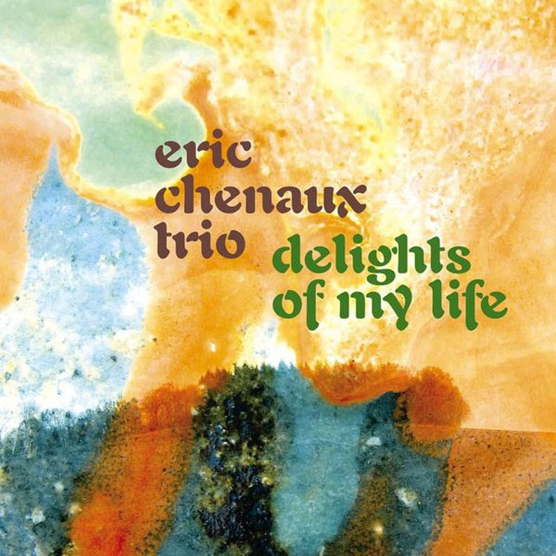 |  Vinyl LP | Eric Chenaux - Delights of My Life (LP) | Records on Vinyl
