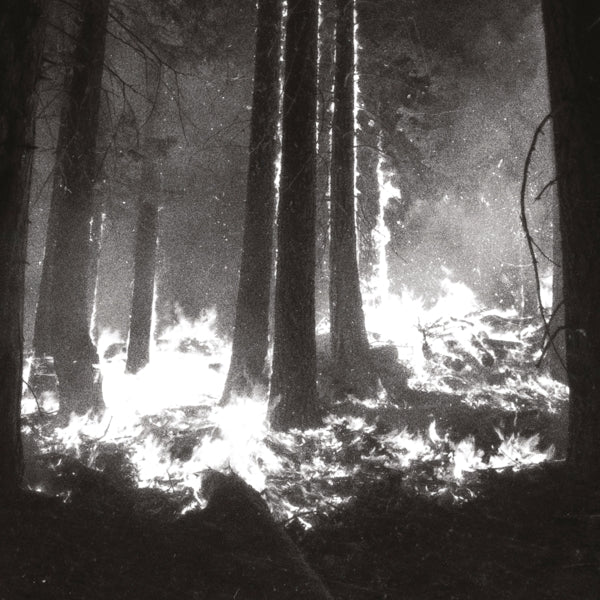 |   | Den Sorte Dod - Undergangen (LP) | Records on Vinyl