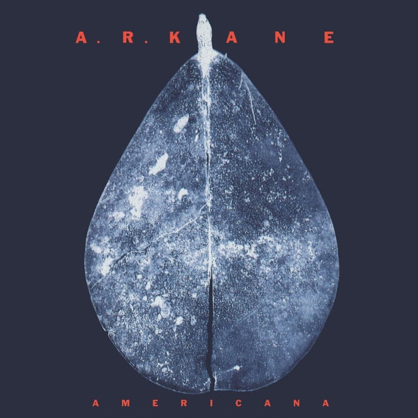 |  Vinyl LP | A.R. Kane - Americana (2 LPs) | Records on Vinyl