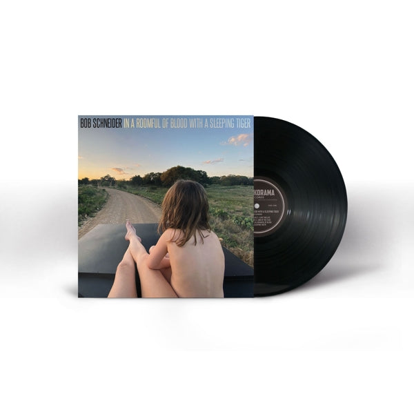 |  Vinyl LP | Bob Schneider - In a Roomful of Blood With a Sleeping Tiger (LP) | Records on Vinyl
