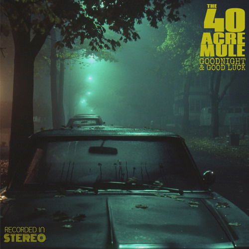 |  Vinyl LP | Forty Acre Mule - Goodnight & Good Luck (LP) | Records on Vinyl