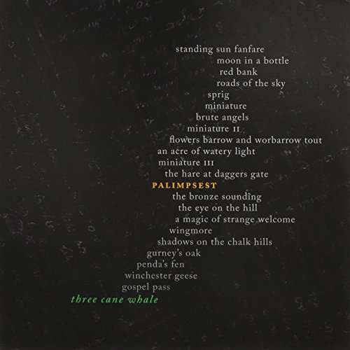 |  Vinyl LP | Three Cane Whale - Palimpsest (LP) | Records on Vinyl