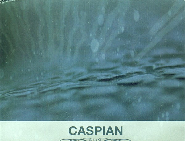|  Vinyl LP | Caspian - You Are the Conductor (LP) | Records on Vinyl