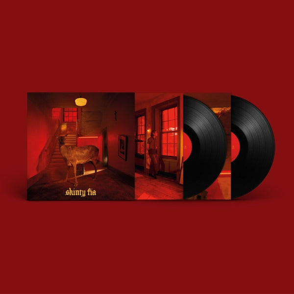|  Vinyl LP | Fontaines D.C. - Skinty Fia (2 LPs) | Records on Vinyl