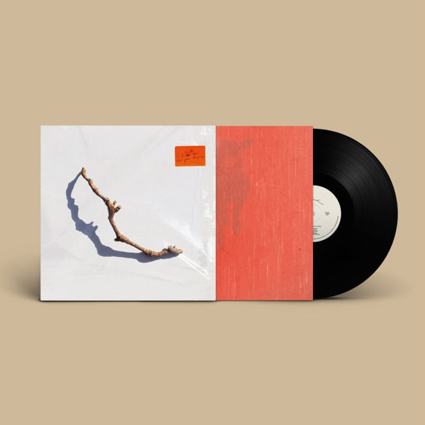 |  Vinyl LP | Pj Harvey - I Inside the Old Year Dying (LP) | Records on Vinyl