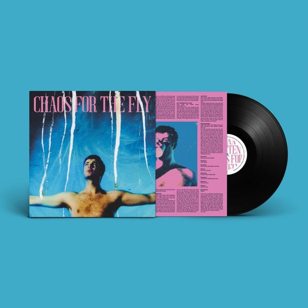 |  Vinyl LP | Grian Chatten - Chaos For the Fly (LP) | Records on Vinyl