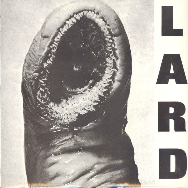 |  Vinyl LP | Lard - Power of Lard (LP) | Records on Vinyl