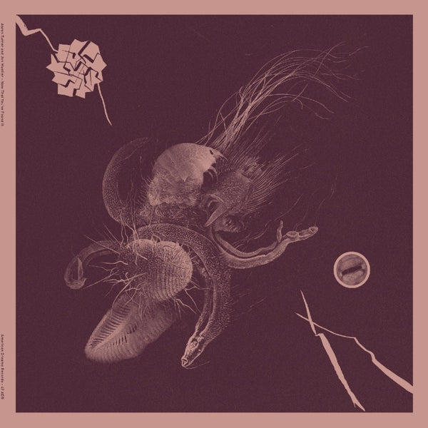 |   | Aaron & Jon Mueller Turner - Now That You've Found It (LP) | Records on Vinyl