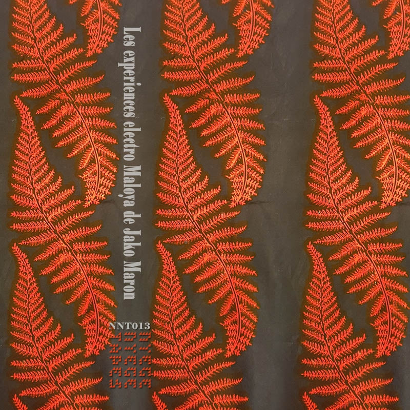 |  Vinyl LP | Jako Maron - The Electro Maloya Experiments of... (2 LPs) | Records on Vinyl
