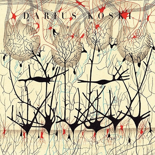 |  7" Single | Darius Koski - Off With Their Heads (Single) | Records on Vinyl