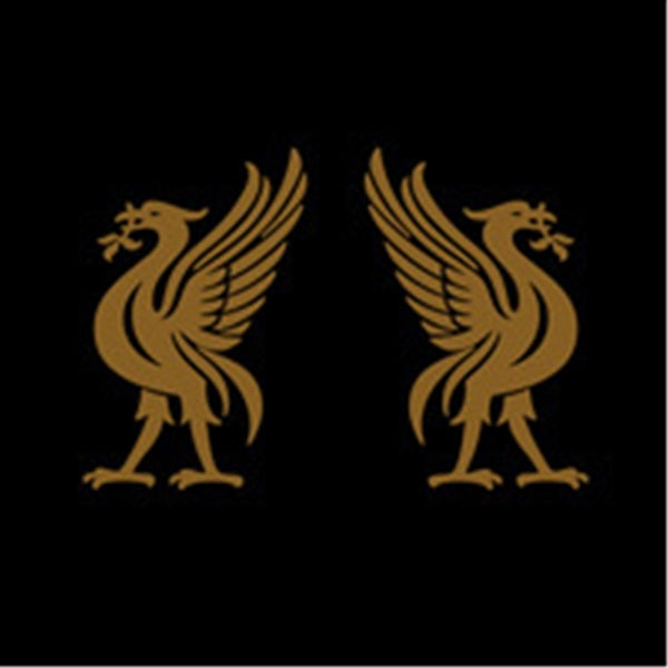 |  Vinyl LP | Joey -& Jon Snodgrass- Cape - Liverbirds (LP) | Records on Vinyl