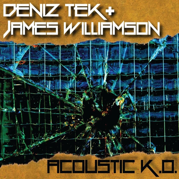 |  12" Single | Deniz Tek - Acousitc K.O. (Single) | Records on Vinyl