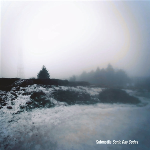 |  Vinyl LP | Submotile - Sonic Day Codas (LP) | Records on Vinyl
