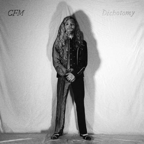 |  Vinyl LP | Cfm - Dichotomy Desaturated (LP) | Records on Vinyl
