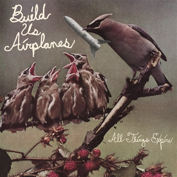 |  Vinyl LP | Build Us Airplanes - All Things Expire (LP) | Records on Vinyl