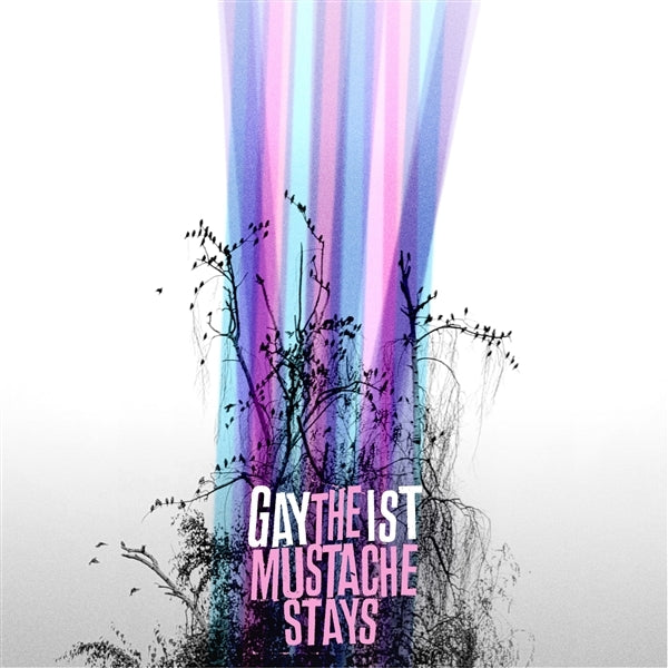 |  Vinyl LP | Gaytheist - The Mustache Stays (LP) | Records on Vinyl